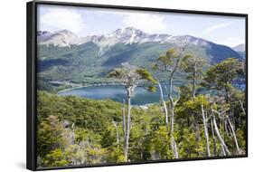 Alerces National Park, Argentina-Peter Groenendijk-Framed Photographic Print