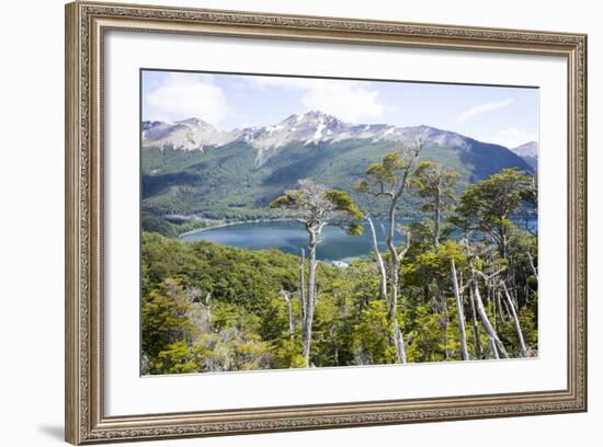 Alerces National Park, Argentina-Peter Groenendijk-Framed Photographic Print