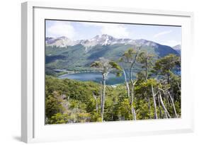 Alerces National Park, Argentina-Peter Groenendijk-Framed Photographic Print