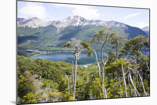 Alerces National Park, Argentina-Peter Groenendijk-Mounted Photographic Print