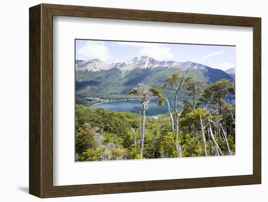 Alerces National Park, Argentina-Peter Groenendijk-Framed Photographic Print