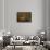 Alert Jackal-Paul Souders-Framed Stretched Canvas displayed on a wall