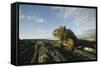 Alert Marine Iguana atop a Rock-DLILLC-Framed Stretched Canvas