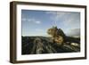 Alert Marine Iguana atop a Rock-DLILLC-Framed Photographic Print