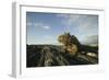 Alert Marine Iguana atop a Rock-DLILLC-Framed Photographic Print