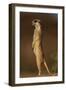 Alert Meerkat Standing Up-Paul Souders-Framed Photographic Print