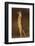 Alert Meerkat Standing Up-Paul Souders-Framed Photographic Print