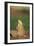 Alert Prairie Dog-DLILLC-Framed Photographic Print