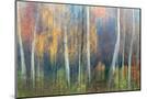 Wood Mount