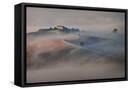 Framed Canvas