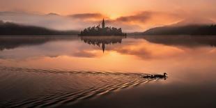 Duck Family at Lake Bled-Ales Krivec-Photographic Print