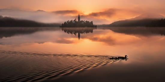 Premium Photographic Print, , large