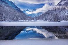 Duck Family at Lake Bled-Ales Krivec-Photographic Print