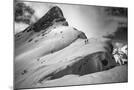 Wood Mount