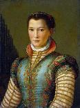 Bernardo Davanzati Bostichi-Alessandro Allori-Giclee Print