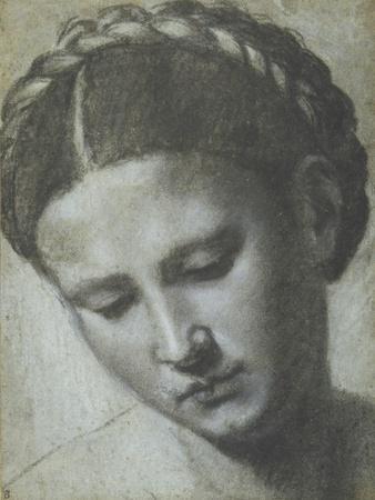 A Woman's Head with Braided Hair