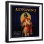 Alessandro Brand - Owensmouth, California - Citrus Crate Label-Lantern Press-Framed Art Print