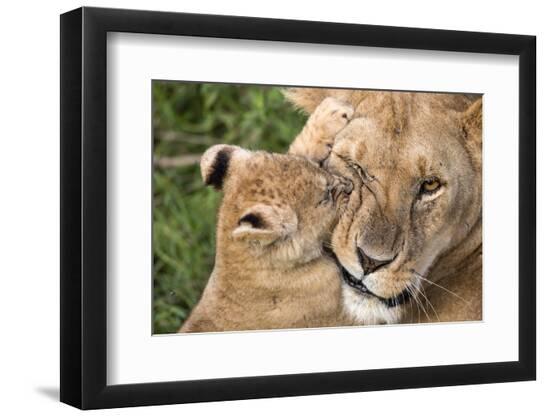 Premium Photographic Print, , large