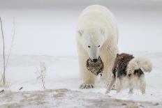 Mother Love-Alessandro Catta-Photographic Print