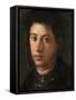 Alessandro De' Medici, 1534-35-Jacopo Pontormo-Framed Stretched Canvas