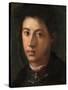 Alessandro De' Medici, 1534-35-Jacopo Pontormo-Stretched Canvas