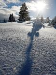 Snowy Landscape, Arosa, Switzerland-Alessandro Della Bella-Photographic Print