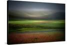 Stretched Canvas
