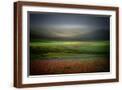 Brown Frame
