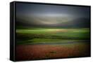 Canvas Black