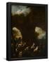 Essential Black