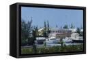 Canvas Black