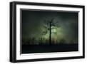 Black Frame