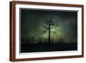 Brown Frame