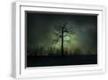 White Frame