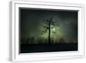 Chelsea White