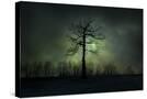 Stretched Canvas