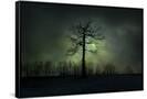 Canvas Black