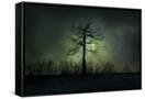 Canvas Black