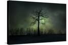 Stretched Canvas