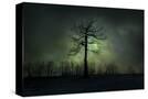 Stretched Canvas