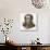 Alessandro Volta Italian Scientist-Stefano Bianchetti-Giclee Print displayed on a wall