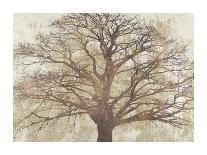 Tree of Bronze-Alessio Aprile-Stretched Canvas