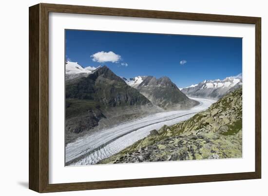 Aletsch Glacier, Eggishorn, Fiesch, Switzerland, Valais-Frank Fleischmann-Framed Photographic Print