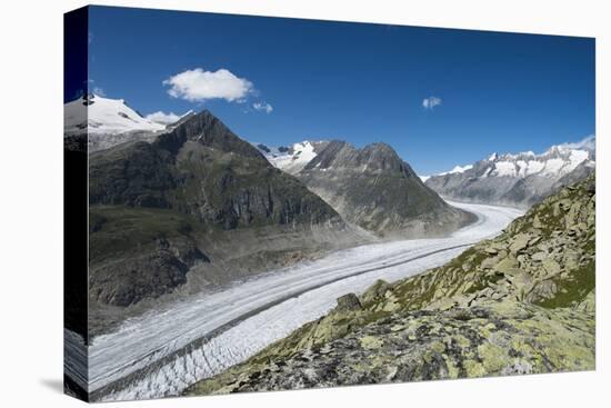 Aletsch Glacier, Eggishorn, Fiesch, Switzerland, Valais-Frank Fleischmann-Stretched Canvas