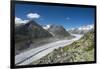 Aletsch Glacier, Eggishorn, Fiesch, Switzerland, Valais-Frank Fleischmann-Framed Photographic Print