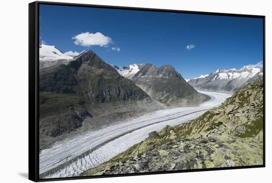 Aletsch Glacier, Eggishorn, Fiesch, Switzerland, Valais-Frank Fleischmann-Framed Stretched Canvas