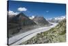 Aletsch Glacier, Eggishorn, Fiesch, Switzerland, Valais-Frank Fleischmann-Stretched Canvas