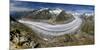 Aletschgletscher-null-Mounted Premium Giclee Print