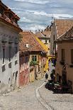 Narrow Street in Sighisoara-alex_bendea-Framed Stretched Canvas