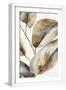 White Frame